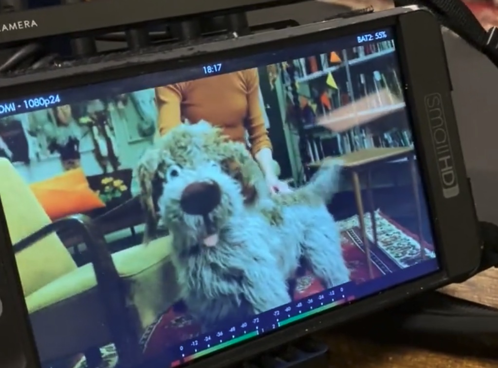 20e1d2cc-15e2-4a0c-b4c9-4f51c08896d9bilde